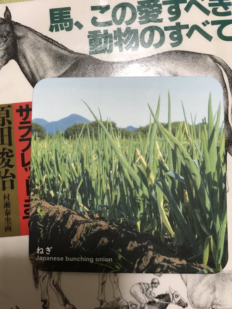 Ilovettymrkm's tweet photo. ホテルコンチネンタル府中さんのペーパーナプキンとコースター。ねぎの花の裏はねぎの葉。
見せていただいたら、他にたんぽぽ、だいこん、ヤーコン、ハコベがあったような気がする。 https://t.co/VZyEswPP9E
