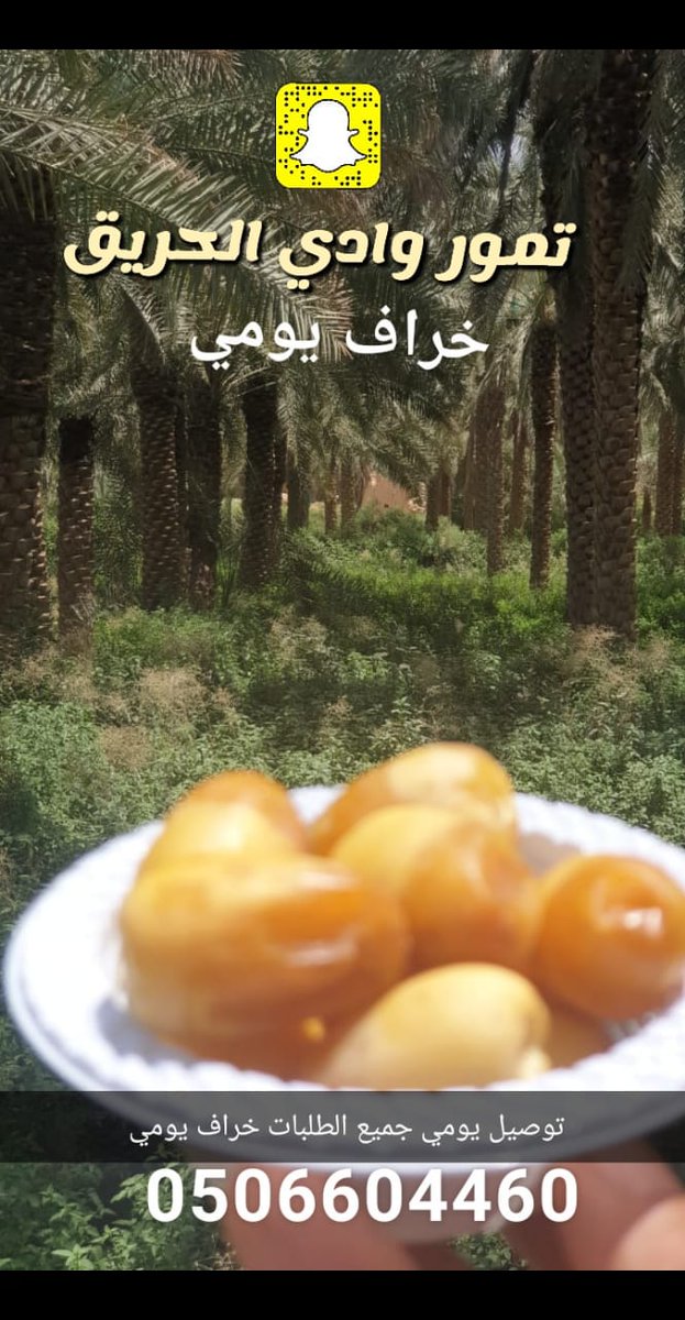 Mhmh1377's tweet photo. #تمور_وادي_الحريق
خراف يومي توصيل جميع الطلبات
إستخدام سماد بلدي طبيعي بدون رش مبيد . https://t.co/fngHiMBgPO