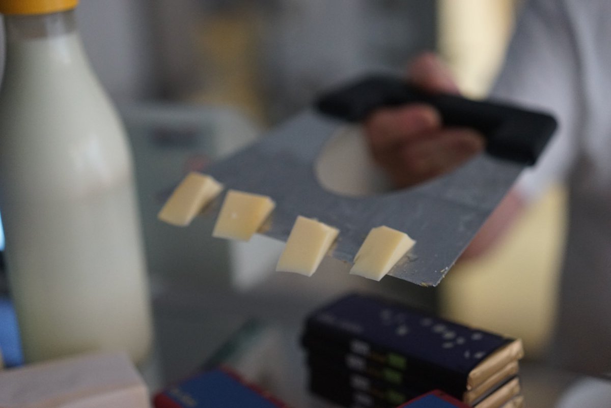 kaesekommissar's tweet photo. Besuch bei dem genialen Senner Floh.
#cheese #swisscheese #käse #schweizerkäse #slowcheese #slowtravel #schweiz #swisscheese #cheeseaddict #cheeseminger #alpen #alps https://t.co/JOh5zhPWOY