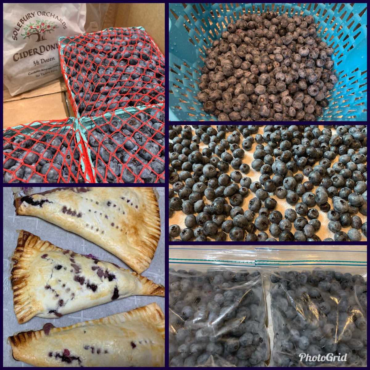 #FCSTeacher Entry #2 - How I spent my #SummerVacation:  Buying fresh, local blueberries from <a href="/SoleburyOrch/">Solebury Orchards</a> to freeze for use all year - including 9th gr Cooking Class Blueberry Pineapple Hand Pies. Now is a great time to do this.  #BuyLocal #Antioxidants #superfood