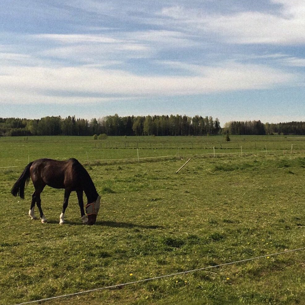 orydsoli's tweet photo. home sweet home 🌤️ :-) https://t.co/CRkr4ouCoG