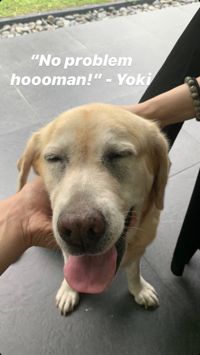 YokiNiRafa's tweet photo. happy hoomaaaanssss 💖 @rafasreyna @LaurelYanah https://t.co/zurgOAOeAJ