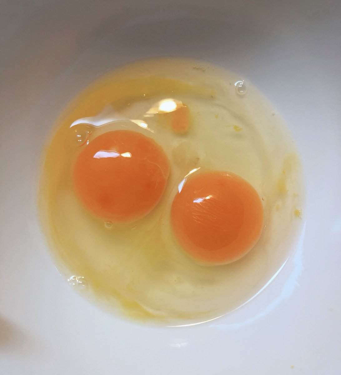 双子ちゃん出た🥚！
気分が良い〜幸🤍🤍🤍