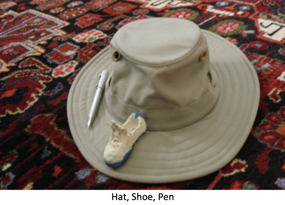 As an academic, as for a president, it is disadvantageous to be labeled as cognitively deficient. I was therefore profoundly relieved when the image of the hat, shoe, and pen from my Christmas gift box flashed before my eyes.