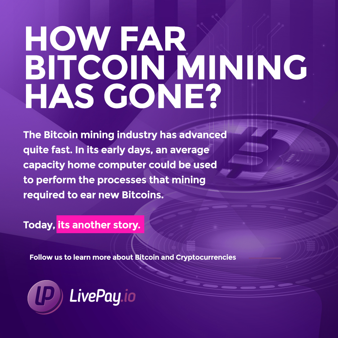 Live Pay (@Livepayio) / Posts / X