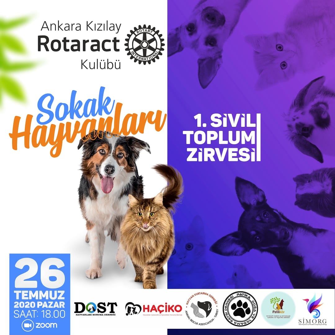 Ankara Kızılay Rotaract Kulübü olarak "1. Sivil Toplum Zirvesi" adlı etkinliğimizi 26 Temmuz Pazar günü saat 18:00'de online olarak gerçekleştireceğiz. Zirvede sokak hayvanları ile ilgili
sivil toplum kuruluşlarından katılımcılarla neler yapabileceğimizi tartışacağız.
