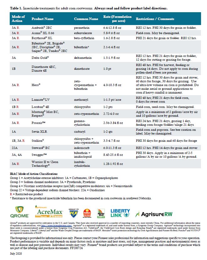 wardynmi's tweet photo. Updated Rootworm management https://t.co/GsDdsR0K3K