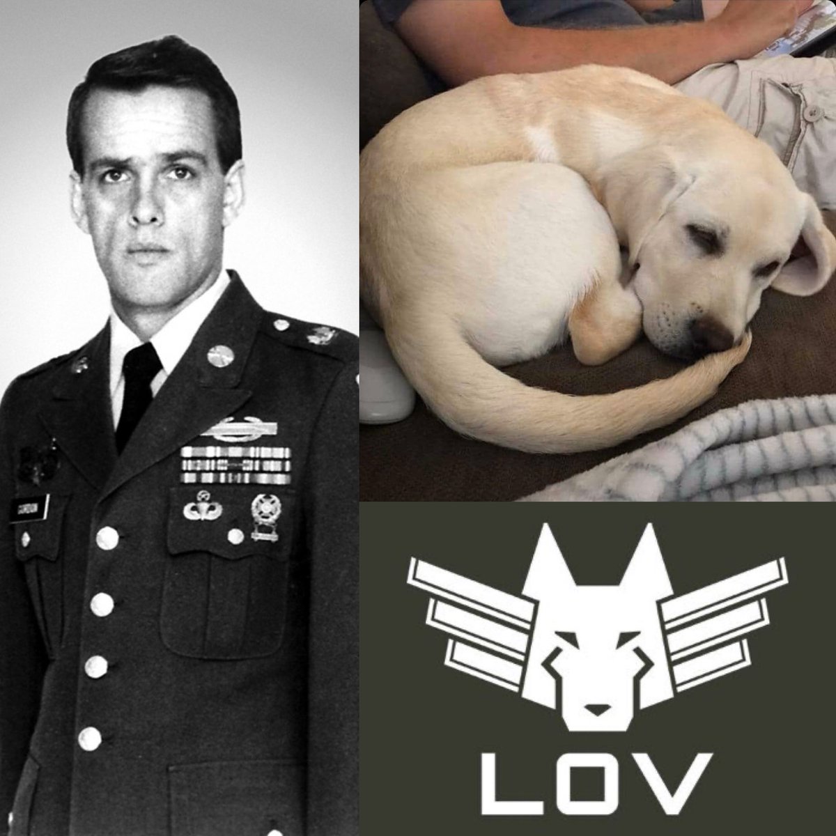 op_hawkeye's tweet photo. The team at #LeashesofValor announced this week that one of their service dogs has been named “Gordy” in honor of #MedalofHonor recipient #GaryGordon - hero of #OperationGothicSerpent 🇺🇸
#RLTW‼️
Follow @LeashesofValor to learn more about mission, efforts of this great org! https://t.co/eMQg4mTeHo