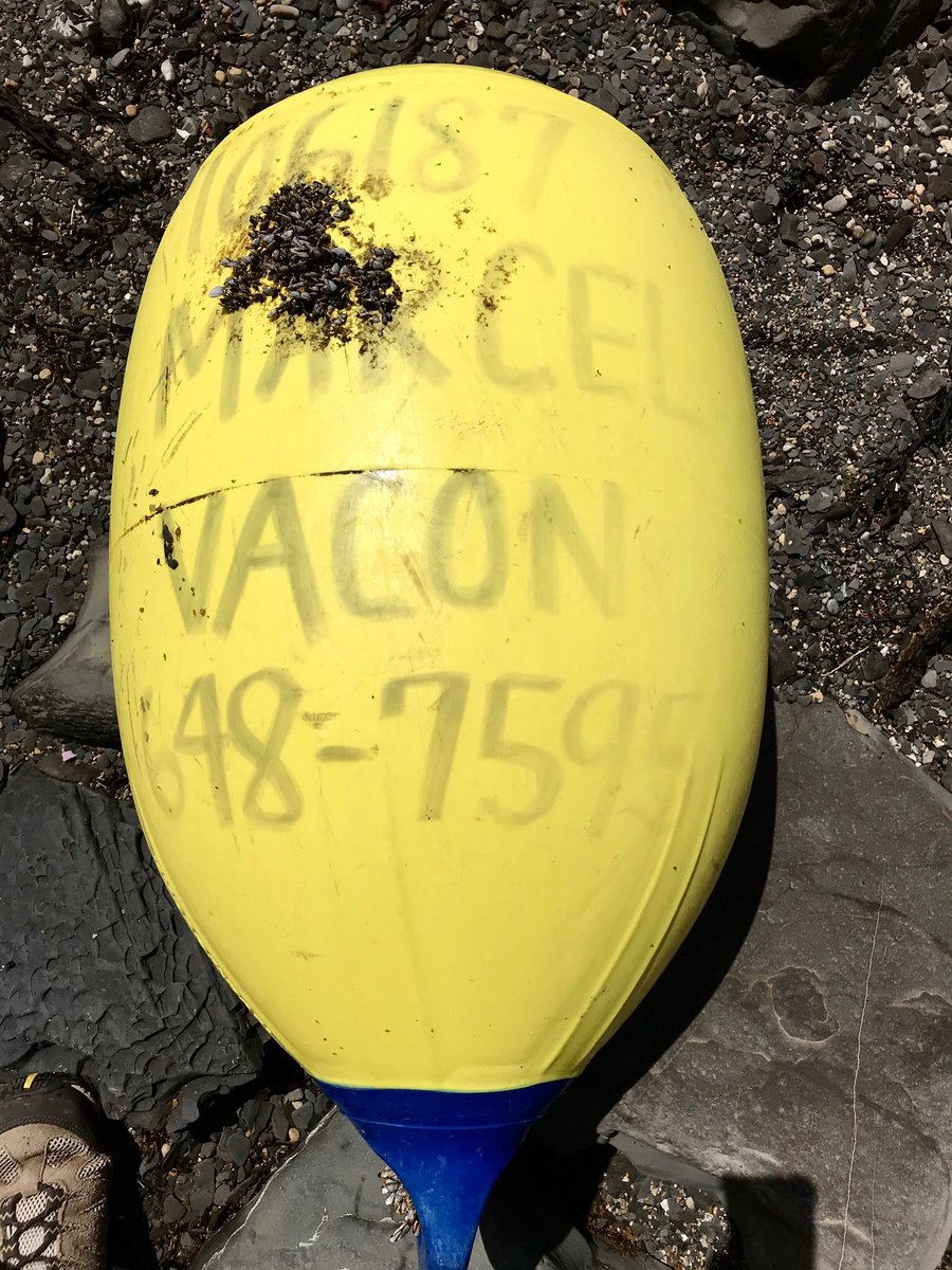 Julie Hatcher tweet media