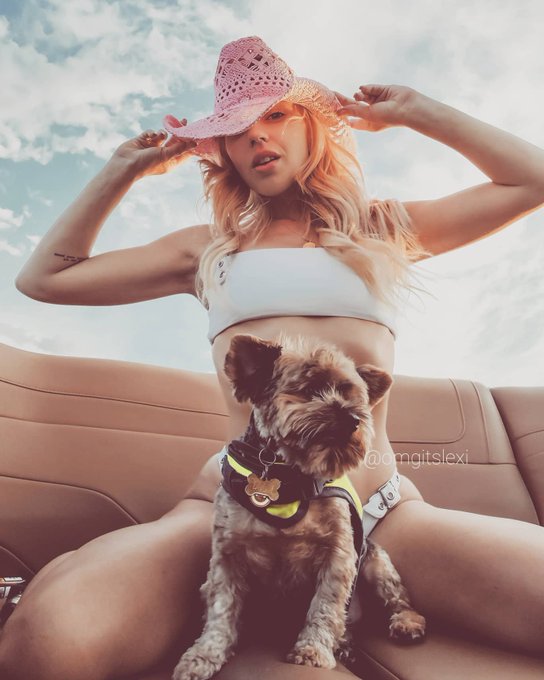 Howdy partner! https://t.co/jkXWY9DSLF