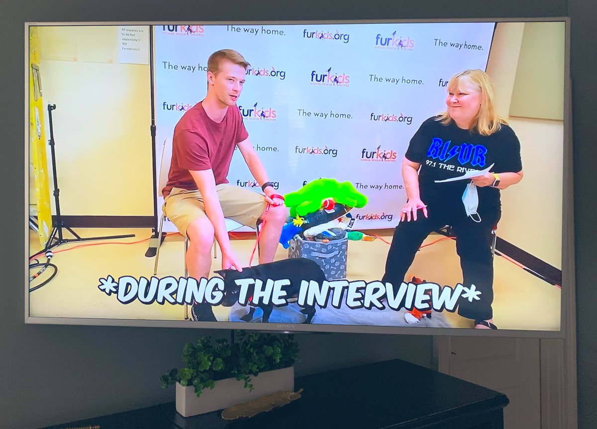 jburgerlong's tweet photo. @MrBeastYT and @971theriver partner to make the world a better place @furkidsinc 🐾 congratulations finding ALL the dogs a home 🏡 https://t.co/OnIV1ugK6m