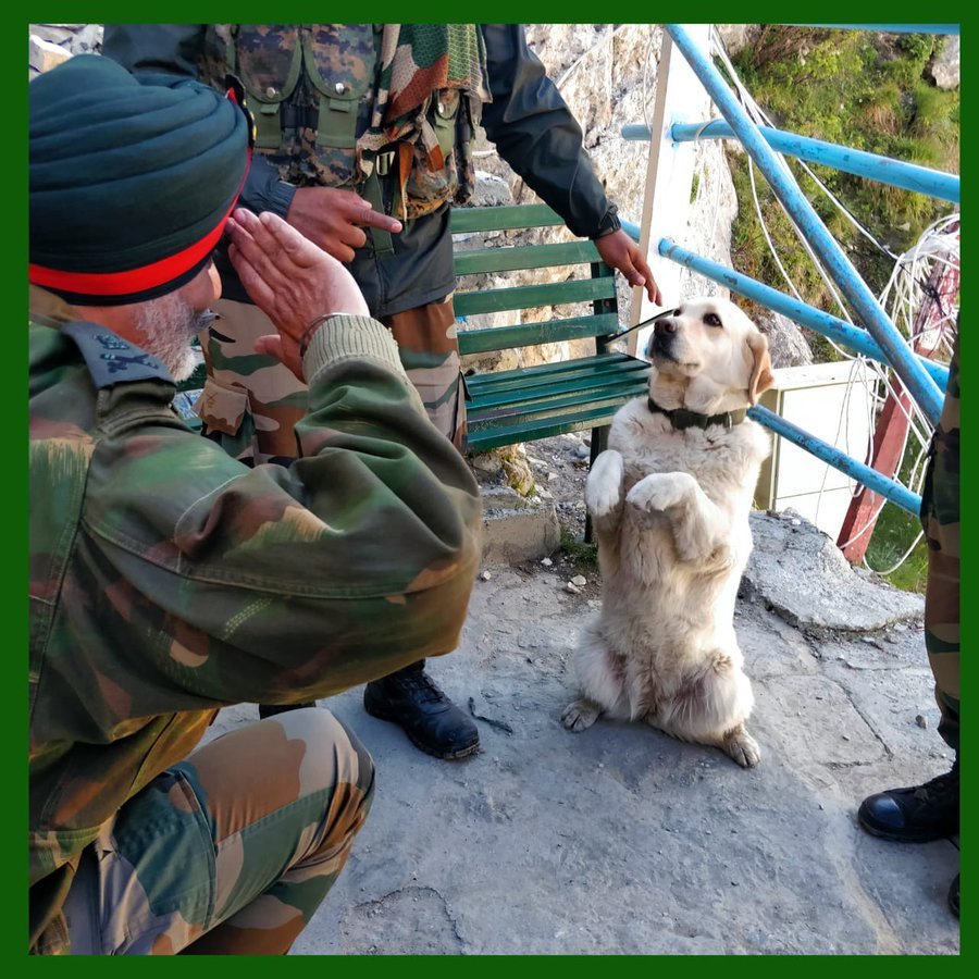 Defender of India tweet media