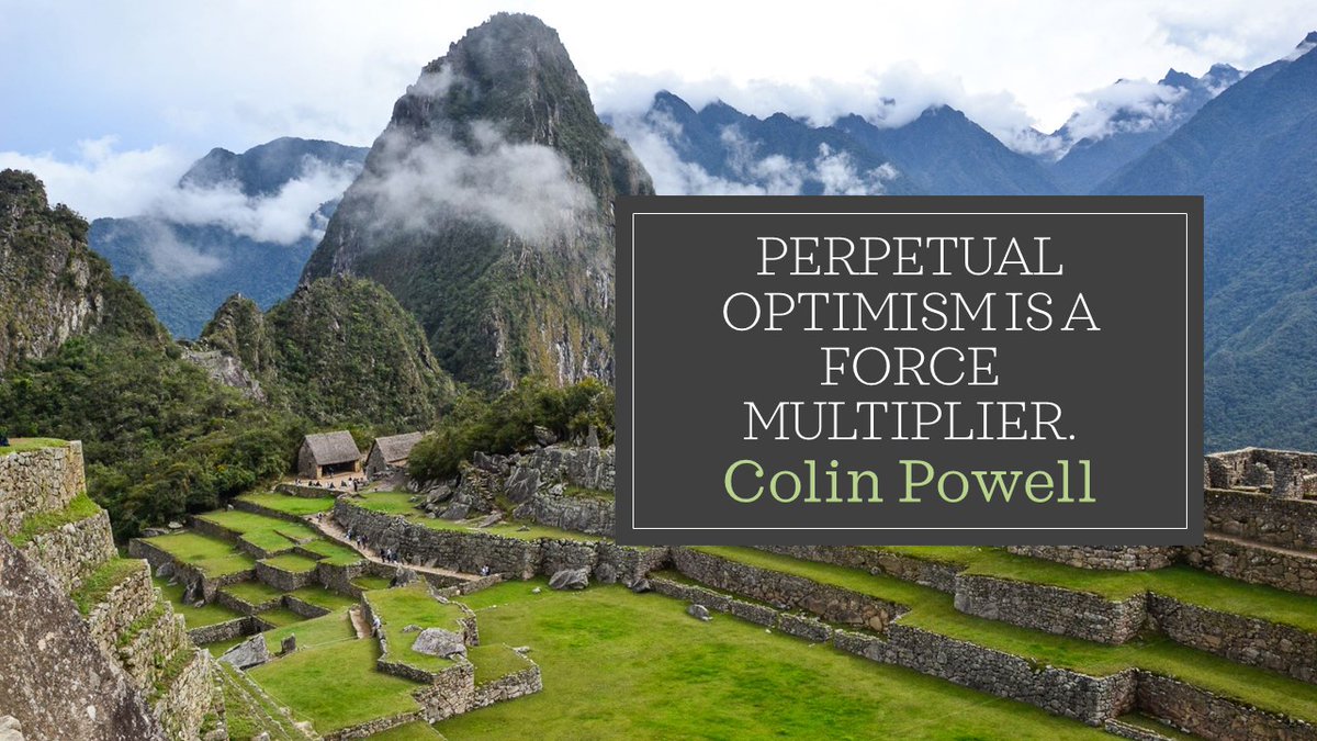 Mary Schaeffer tweet media