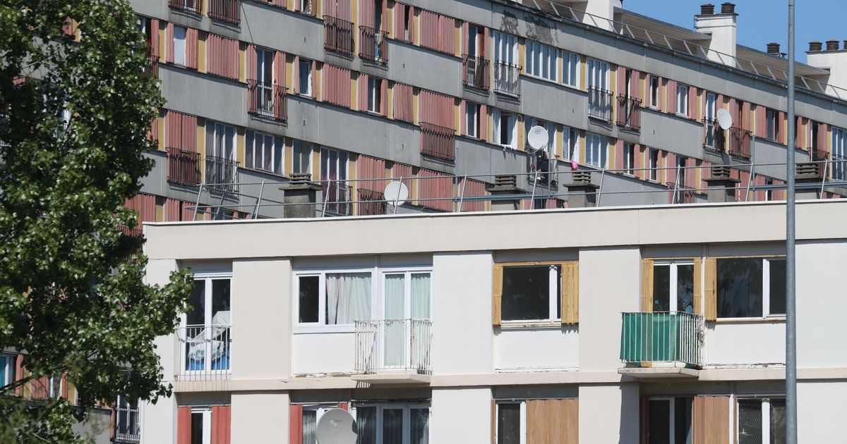 Découvrez qui peut bénéficier de l'aide mise en place par Action Logement 🔍 #EtreLocataire  mon.actuenligne.net/r/ndyex4u