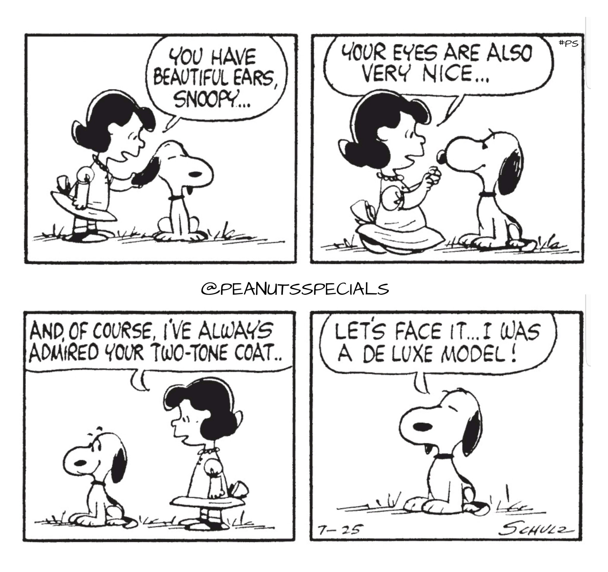 Bloody Specifiek Adviseren Peanuts Specials on Twitter: "First Appearance: July 25, 1963 #snoopy  #lucyvanpelt #have #beautiful #ears #eyes #nice #ofcourse #always #admired  #twotone #coat #letsfaceit #deluxemodel #peanutssaturday #peanutsstrong  #peanutshome #staysafe #schulz #ps ...