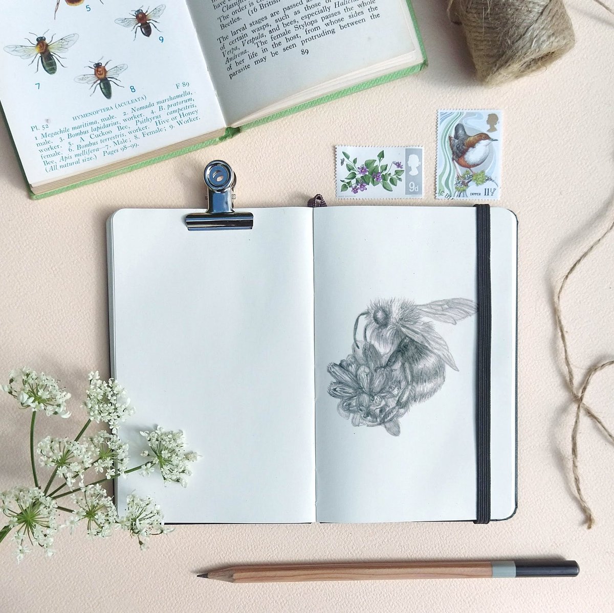 RHdesignedit's tweet photo. When you can't go outside to enjoy the summer you can be inside dreaming of summer. 

#beehappy #bee #illustration #pencildrawing #moleskine #sketchbook #dailysketch #draweveryday #rainyday #britishsummer #inspiredbynature #natureart #wildlifeart #britishwildlife #devonwildlife https://t.co/7749LHhKnr