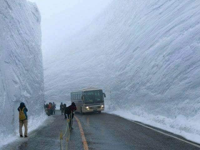 sol41125's tweet photo. MURALLAS DE NIEVE EN CHILE.
Paso Pino Hachado en Lonquimay.
La foto no es mía, la mandó mi marido. https://t.co/UCd39weMSD