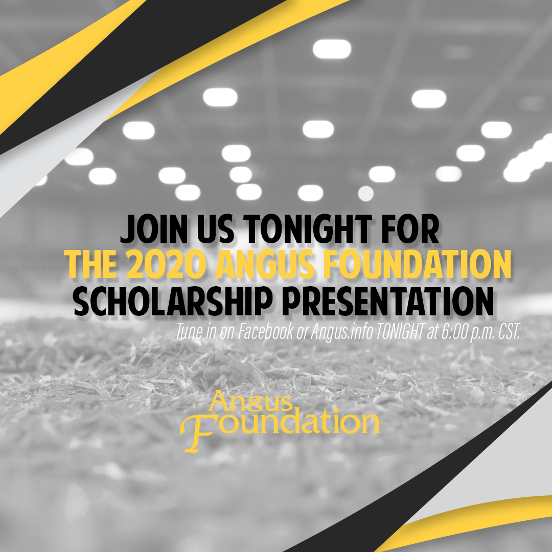 Join the Angus Foundation tonight at 6:00 p.m. CST as we recognize numerous Angus Scholars and the donors who made these gifts possible! 

💛 Tune in on Facebook or at fal.cn/39msX