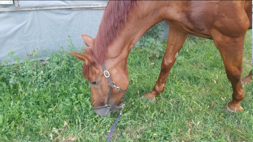 Мама: Ты что, опять там про секс что-то пишешь?
Урса: Нет, мам, я на тренировке.
Мама: А ну докажи.
Урса: //присылает фотку//
Мама: Да хоспади, то она сублимирует, то с тварями этими божьими носится! Когда ты мне внуков принесёшь?!

#бытовуха