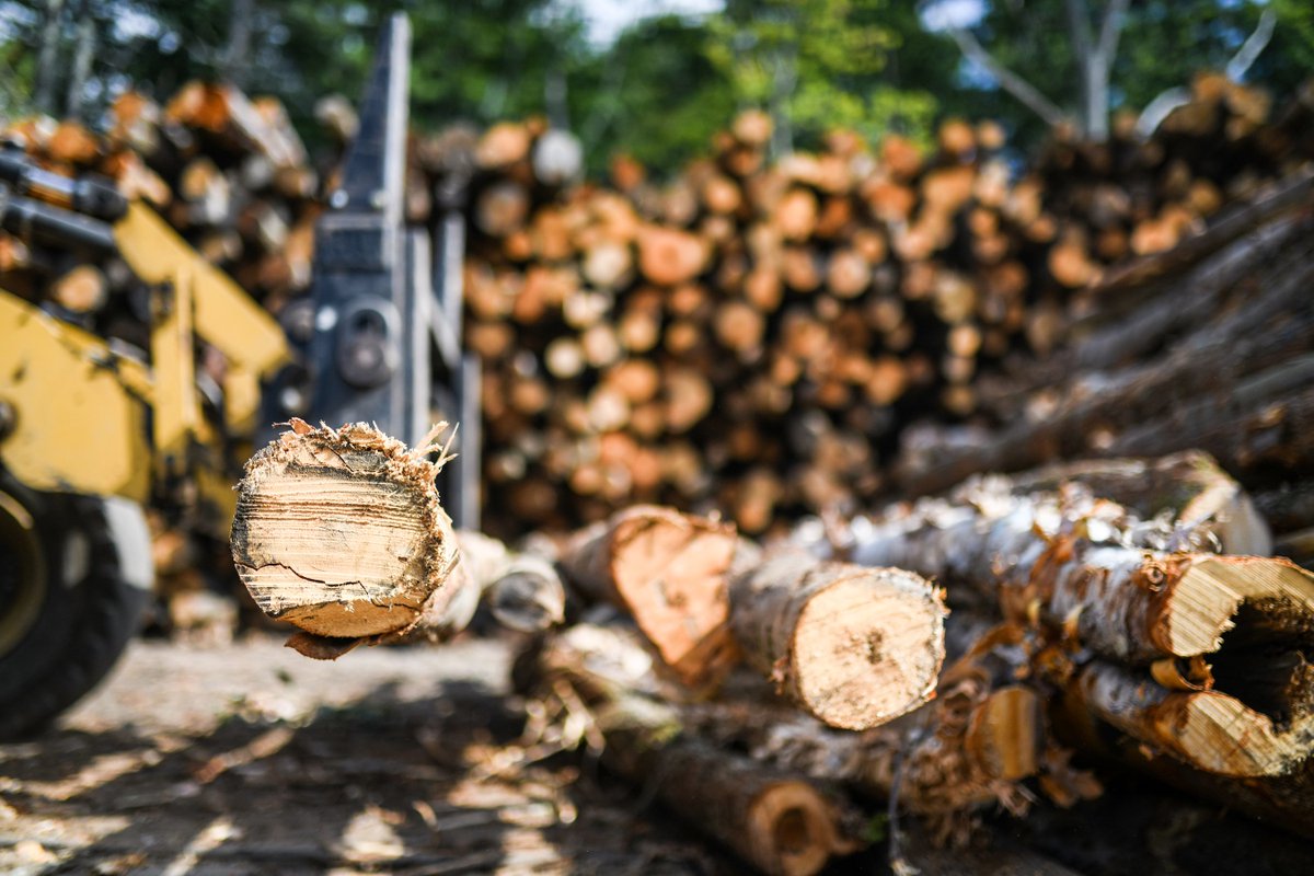 FuelsNorth's tweet photo. When you order from North Atlantic Fuels, you know you're getting the best wood around. Give us a call or visit our website to get on the delivery schedule! 🔥

603-945-5305
https://t.co/uah8oAw6VC

#firewood #premiumfirewood #firewoodfordays #choppedwood #firewooddelivery https://t.co/fyWsabVJHZ