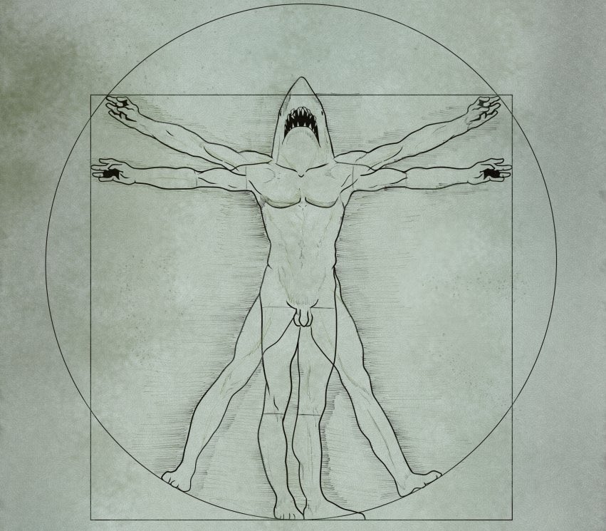 権田メサ バーチャルサメ人間 Na Twitter あなたの需要に答えません ようこそサメ人間イラスト屋 T Co Davhfmxosg Twitter