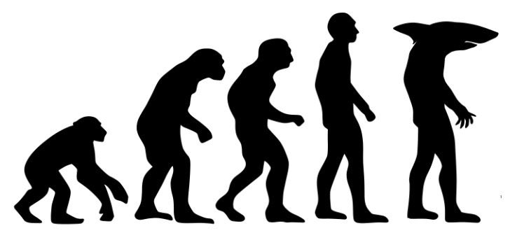 権田メサ バーチャルサメ人間 Na Twitter あなたの需要に答えません ようこそサメ人間イラスト屋 T Co Davhfmxosg Twitter