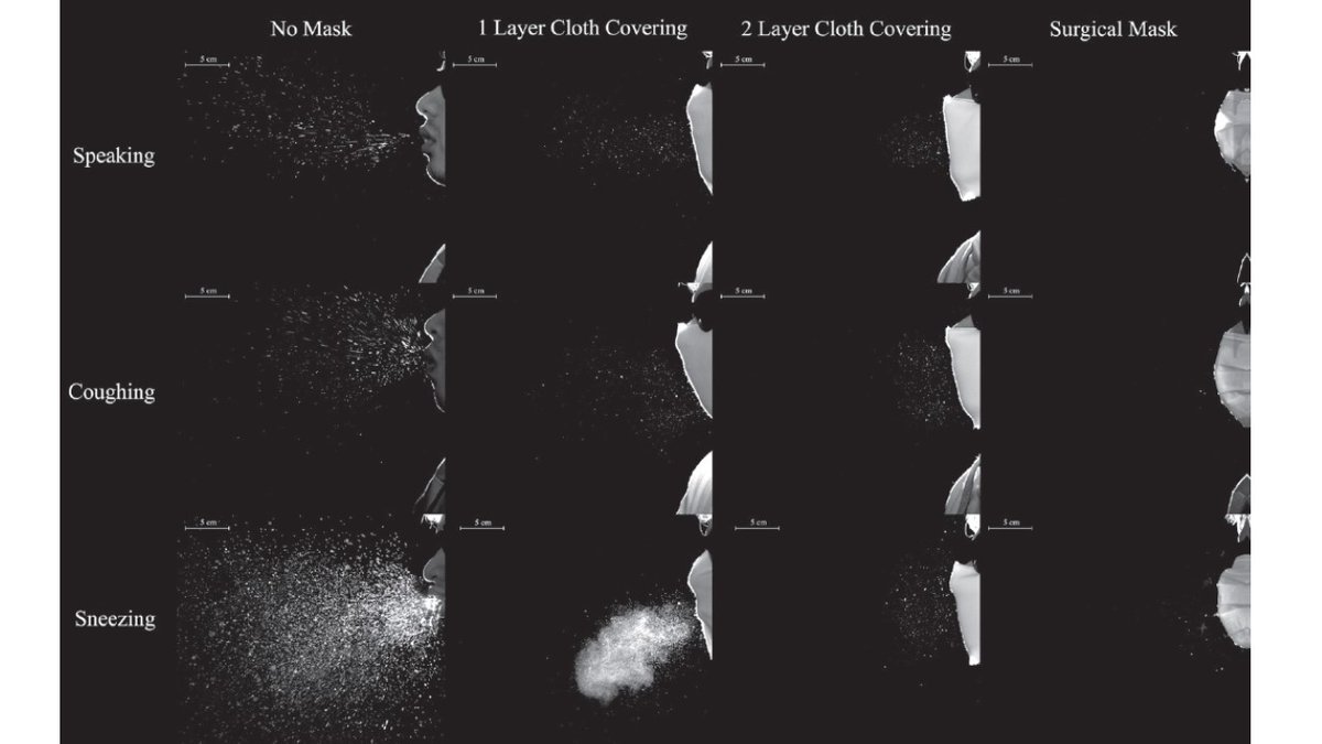 "Coughs and Sneezes Spread Diseases"