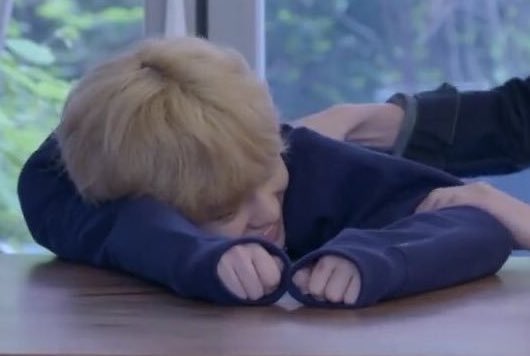 a thread of chenle sweater paws because chenle cat   @NCTsmtown_DREAM  #NCTDREAM  #CHENLE  #천러