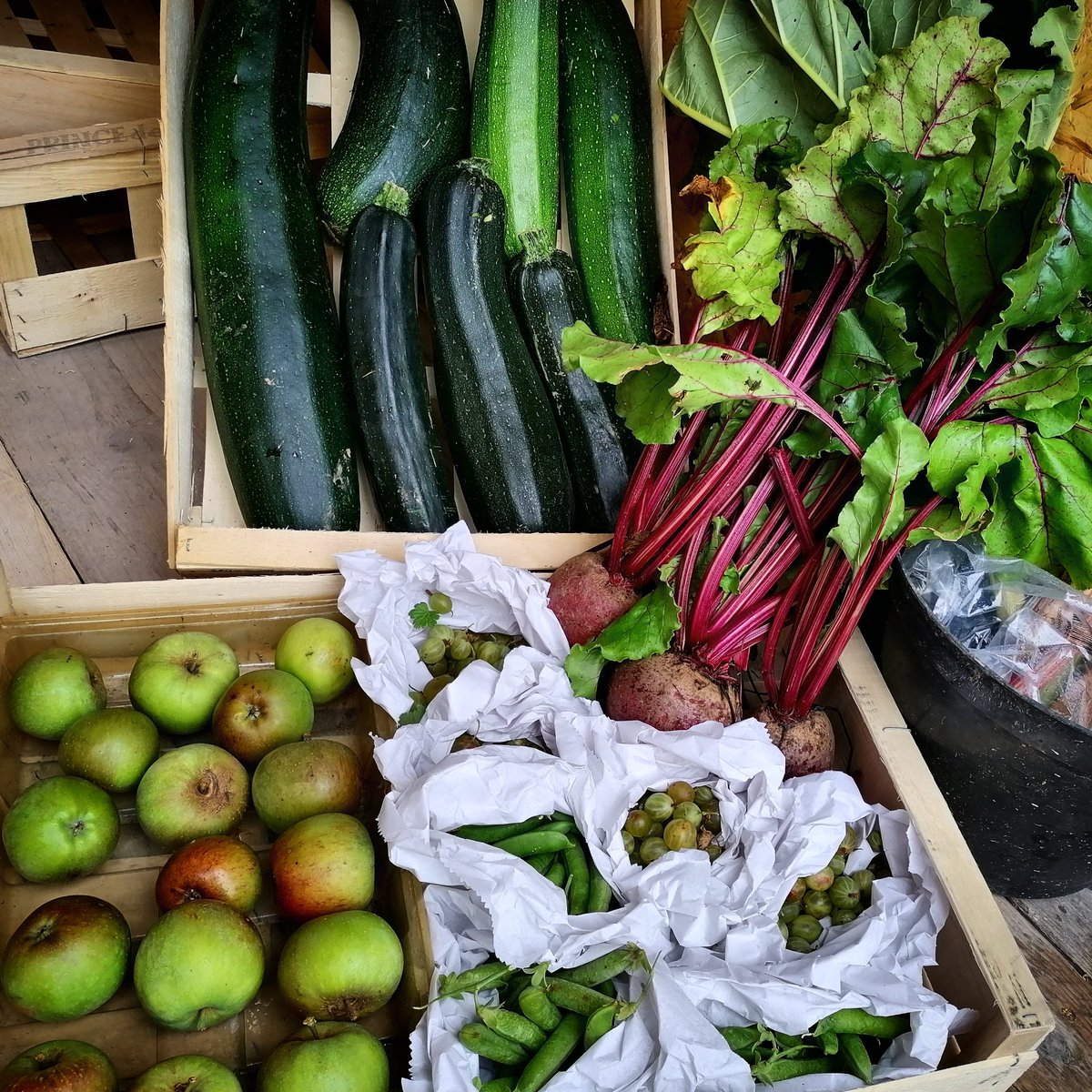 FarmEastfield's tweet photo. Freshly picked this morning from our garden. Beetroot, rhubarb, gooseberries, peas, white cabbage and cooking apples.
#freshfruit #freshveg #farmshop #yeovil #supportlocalBusiness https://t.co/fobD0zCaZv