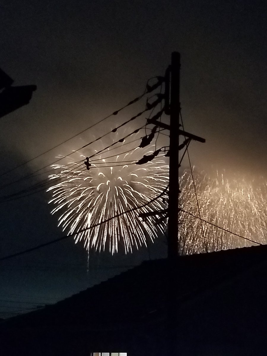 今年は見れないと思ってたから感動しました