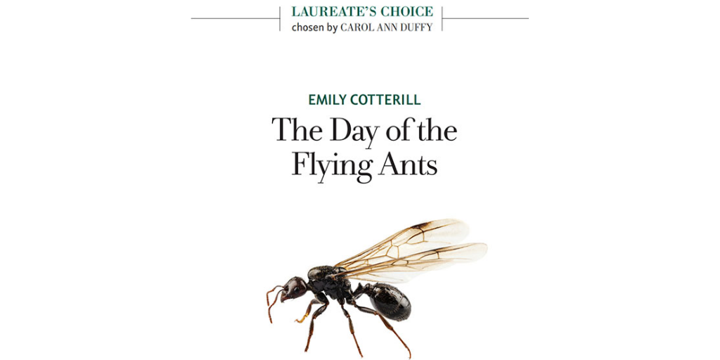THE DAY OF THE FLYING ANTS

<a href="/_EmilyLC/">Emily Cotterill</a>’s debut pamphlet was part of Carol Ann Duffy’s Laureate’s Choice selection, and what a debut it is. She has a brilliant style and a skill for creating images that stick with you

Buy: emilycotterill.com/product/the-da…

Listen: radiopublic.com/talking-ink-po…