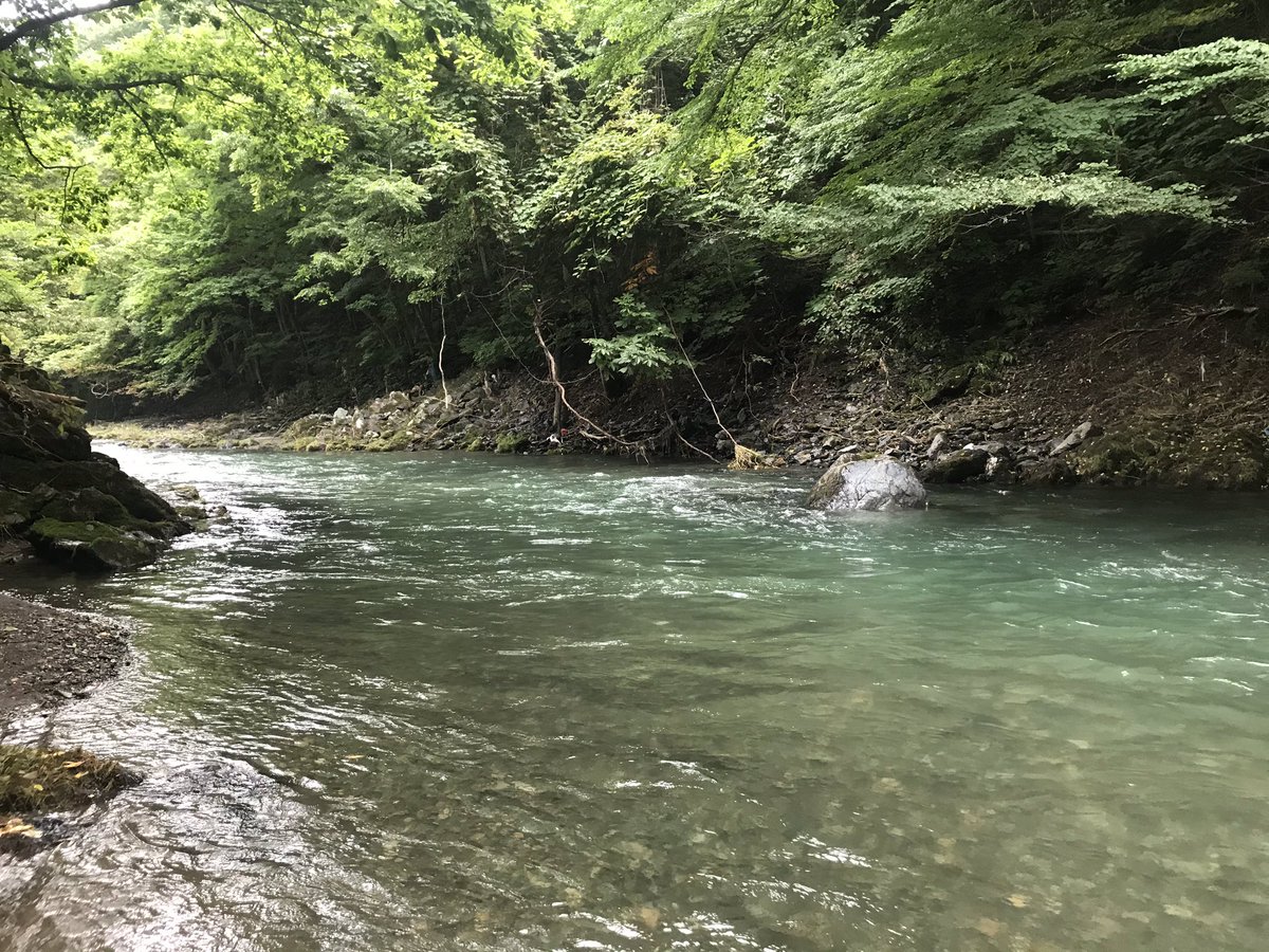 triela1030's tweet photo. 37cmを筆頭に20~がコンスタントに釣れる素晴らしい日でした https://t.co/RgyvPqBCl7