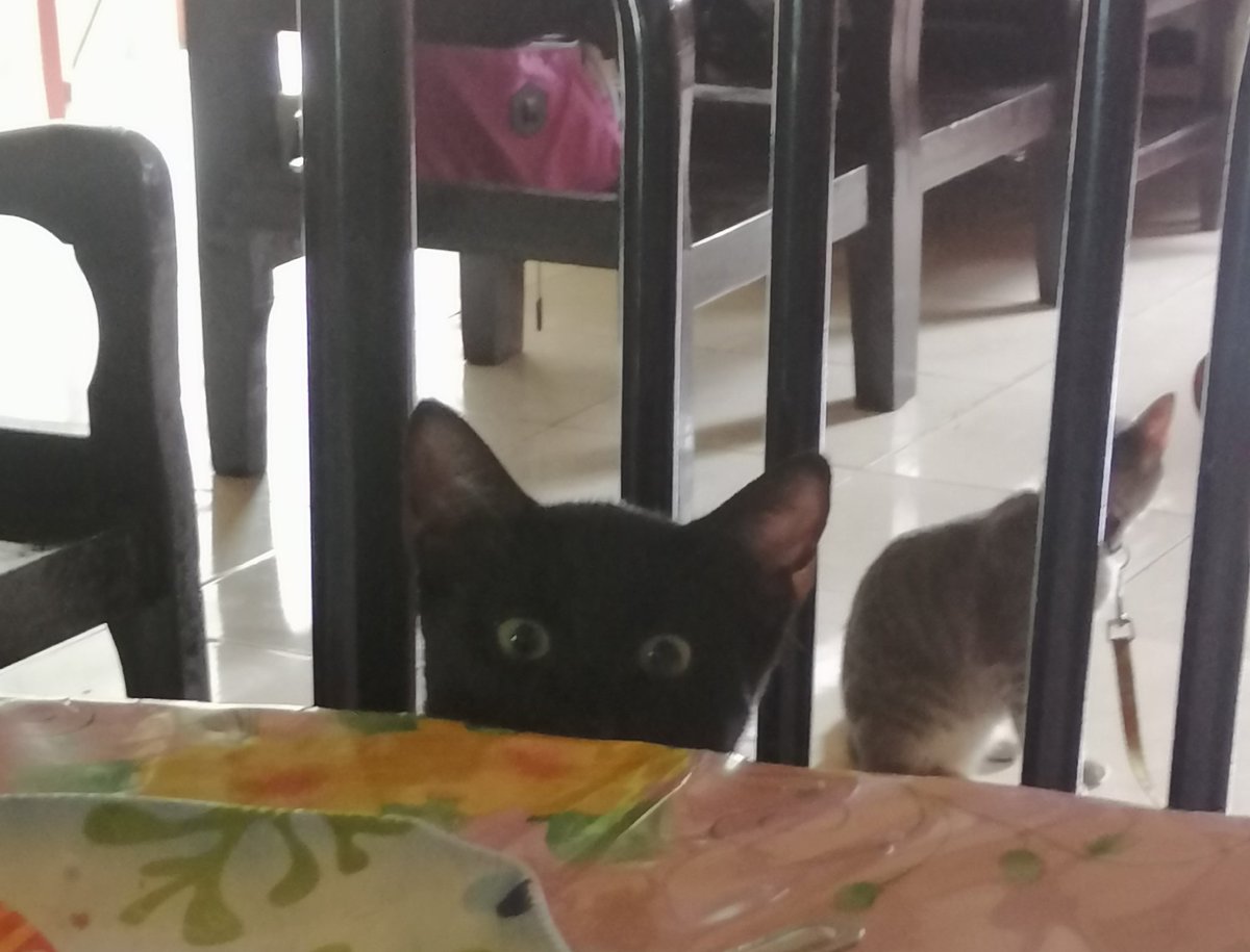 4. HAHHAHAHAHA thread of random pics nalang pa to sorry na