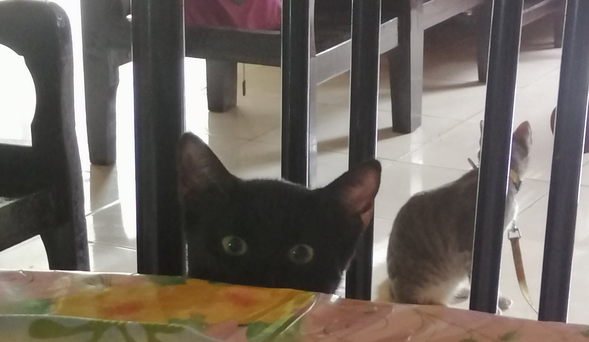 4. HAHHAHAHAHA thread of random pics nalang pa to sorry na