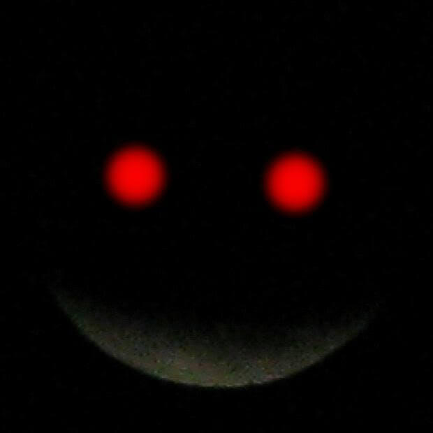 tulpone tweet picture