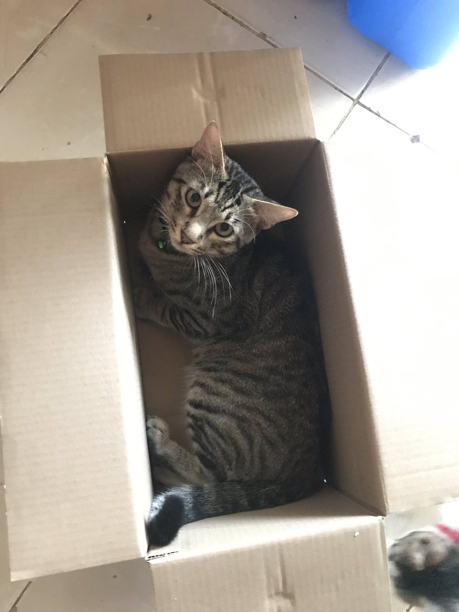 6. love talaga nila mga box