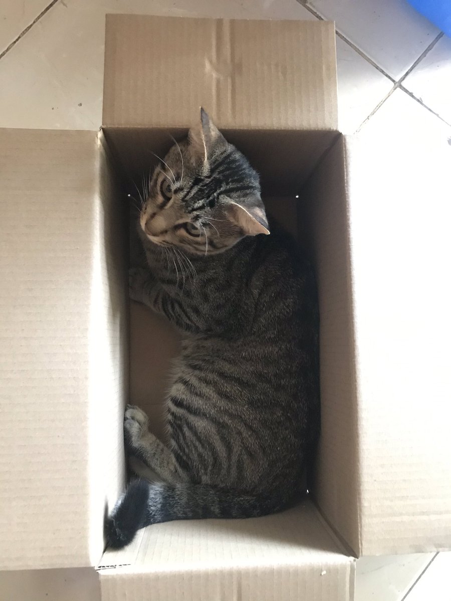 6. love talaga nila mga box