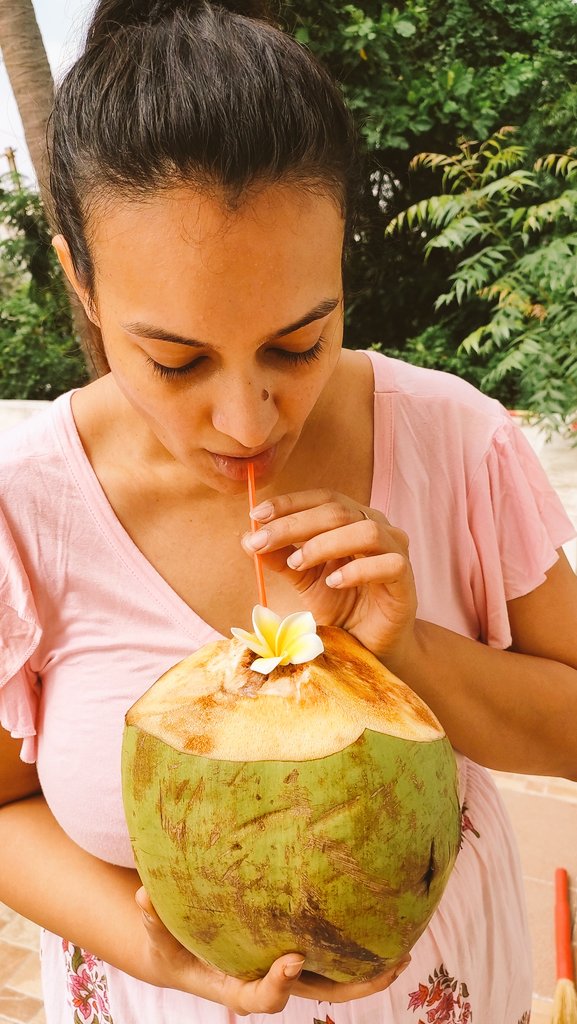 KSiddhiwala's tweet photo. Having my caribbean feels at #savera
Vegan because it fell by itself without harming my coco tree 🌴
Organic because it's grown naturally
Yummy because it's delicious
#coconutwater #vegan #organic #natural #healthiswealth #yummylicious #delicious #cocotree https://t.co/NGOHcdxzwb
