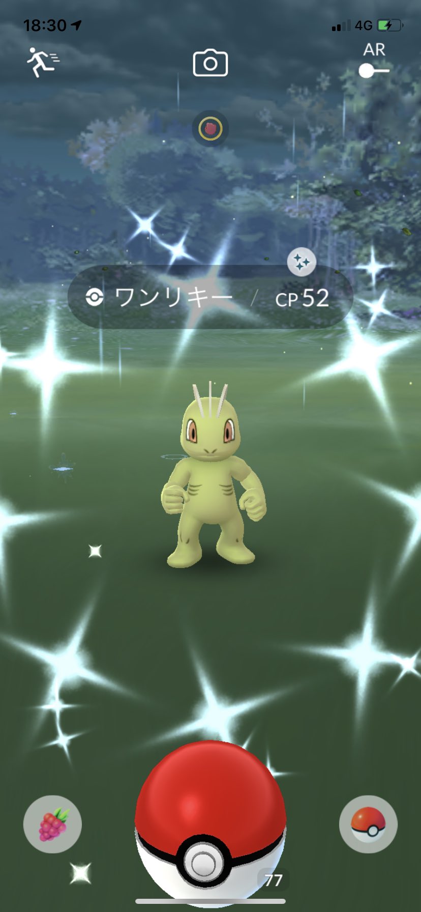 ポラリス ポケモンgo 色違いワンリキー出ました 2匹目なのでゴーリキー そしてカイリキーに進化させました ポケモンgo 色違い ワンリキー ゴーリキー カイリキー T Co 2agjh55ge2 Twitter