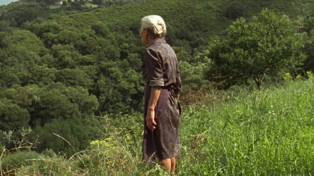 miraenotrasala's tweet photo. No #DiadeGalicia reivindicar o cinema galego, temos moito polo que orgullecernos #OQueArde #Dhogs #18comidas #30Lumes #OApostolo #AEsmorga #SempreXonxa #Arima #Loslunesalsol #Trote #LongaNoite #AEstaciónViolenta #EroskiParaíso #LosFenómenos #Maríaylosdemás #Matria #MarAdentro https://t.co/FQebbVqZ8C