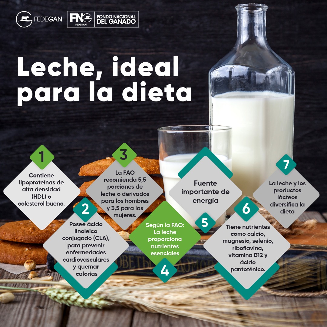 ¿Sabe 🤔 por qué la leche de vaca 🐮🥛 es ideal para una dieta altamente nutritiva y completa?
Nosotros se lo contamos aquí 👇

#LecheColombiana #UnicamenteLecheDeMiCampo
