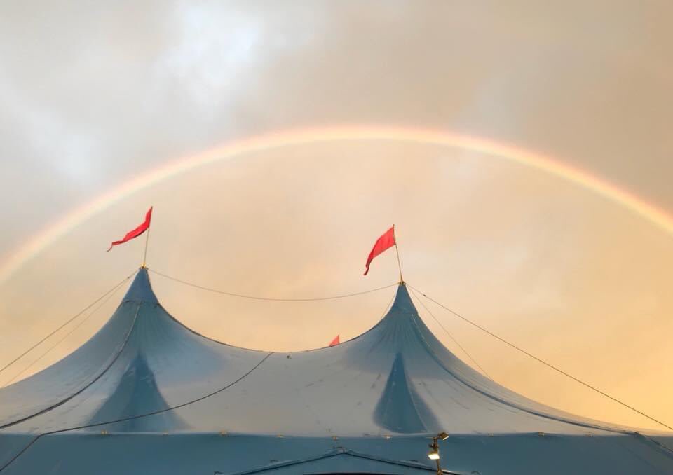 Neil Sparkes tweet media