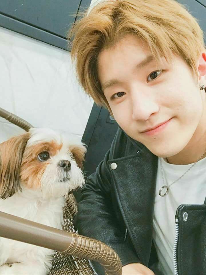 Первый робот механической собаки. Астро собака. Astro dogs. Группа astro собачками. Картун кэти картун дог из мультика.