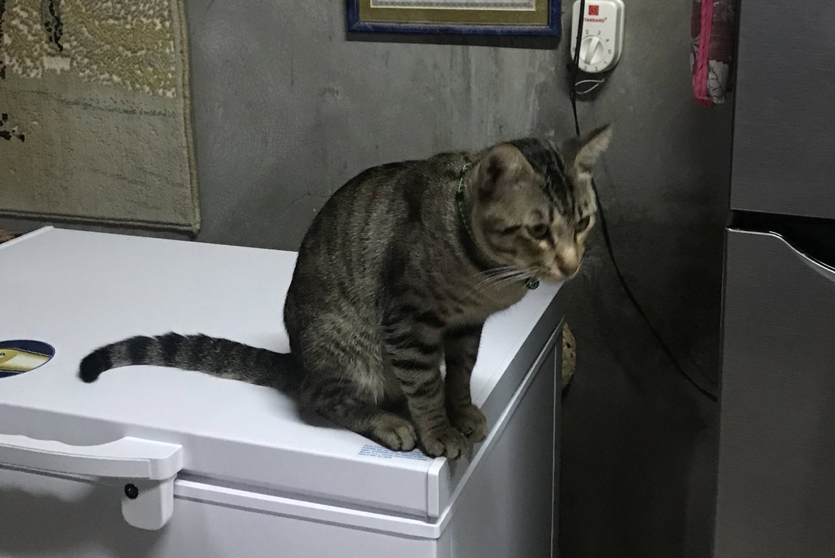 8. fave place na dn niya yung freezer.