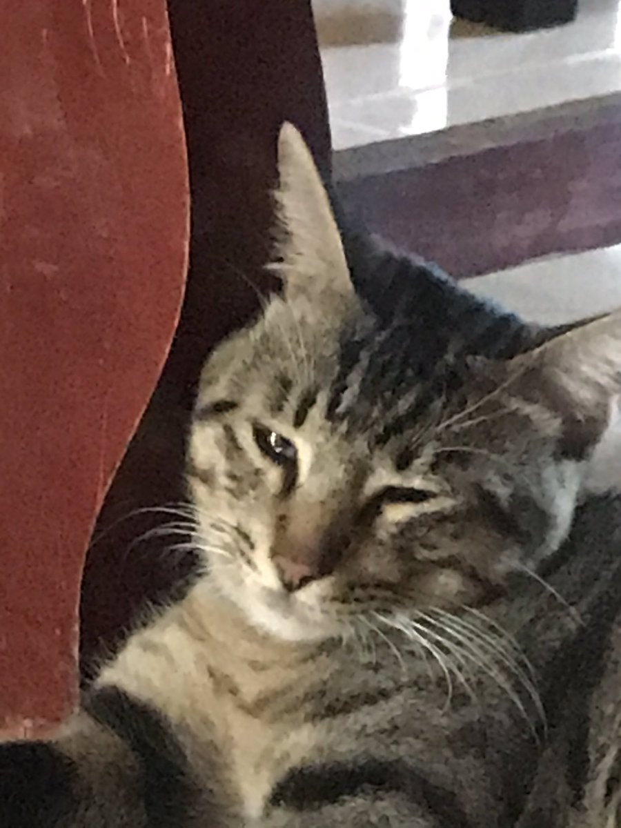 9. lasing sa antok ih.