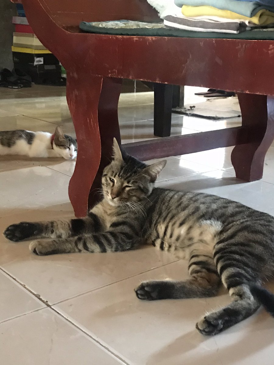 9. lasing sa antok ih.