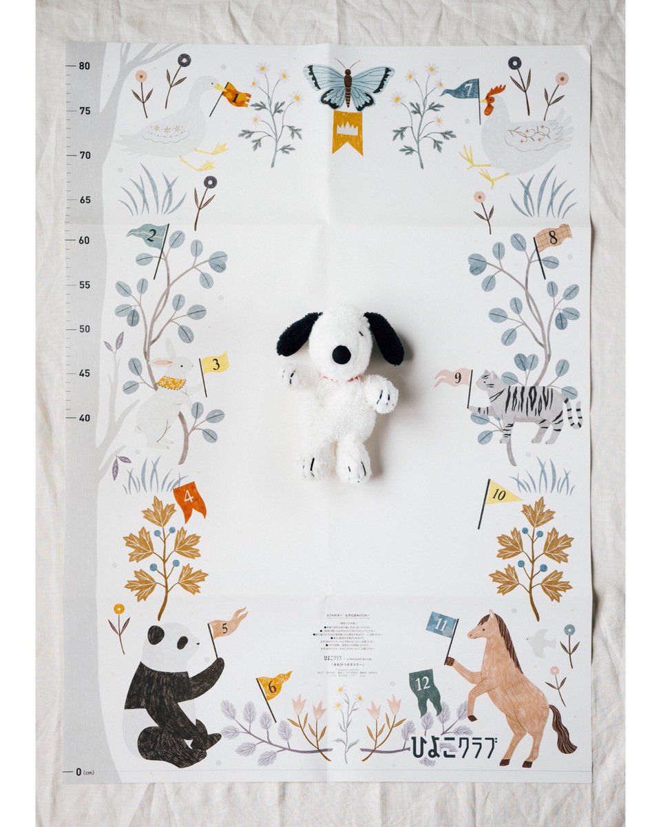 Eri Kamei 亀井英里 ひよこクラブ７ ８特別合併号の付録 身長計つきポスター のイラストを担当しました ポスターを床に敷き その上に赤ちゃんをゴロンさせて写真を撮ってみて というアイテムです 私は人形をのせて撮ってみました