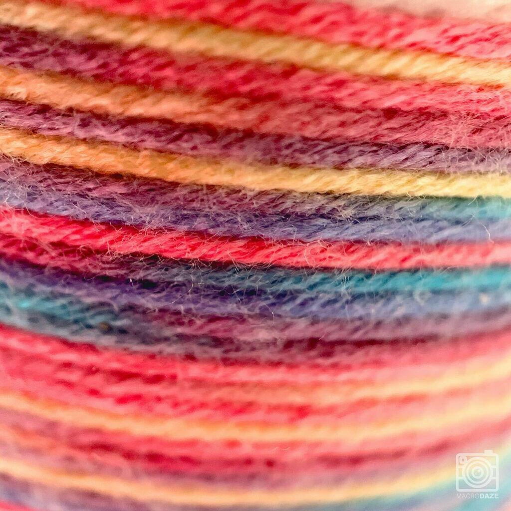 MacroDaze's tweet photo. Follow @macrodaze for more stunning images and don't forget to tag your macros with #macrodaze
______________________
#macrodaze #instaedit #colorlove #macrophotography #macrolove #macrophoto #macroshot #macroart #macroworld #macrooftheday #macroparadise… https://t.co/iJMviSUO2E https://t.co/m8mQWTWdK8