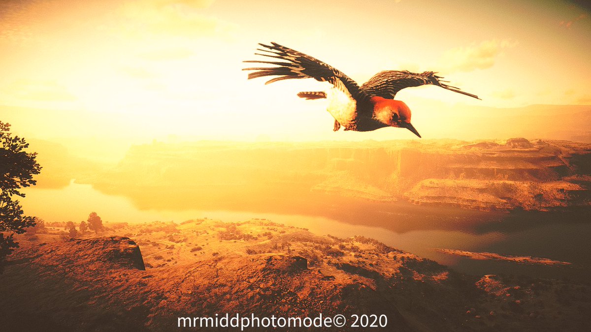Mr Mid’s Excellent Photo Mode Adventure tweet media