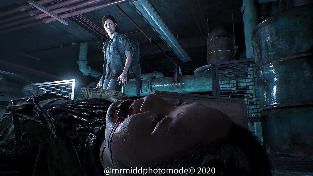 Mr Mid’s Excellent Photo Mode Adventure tweet media